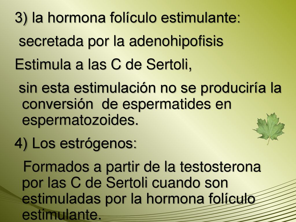 3) la hormona folículo estimulante: secretada por la adenohipofisis Estimula a las C de Sertoli, sin esta estimulación no se produciría la conversión de espermatides en espermatozoides.