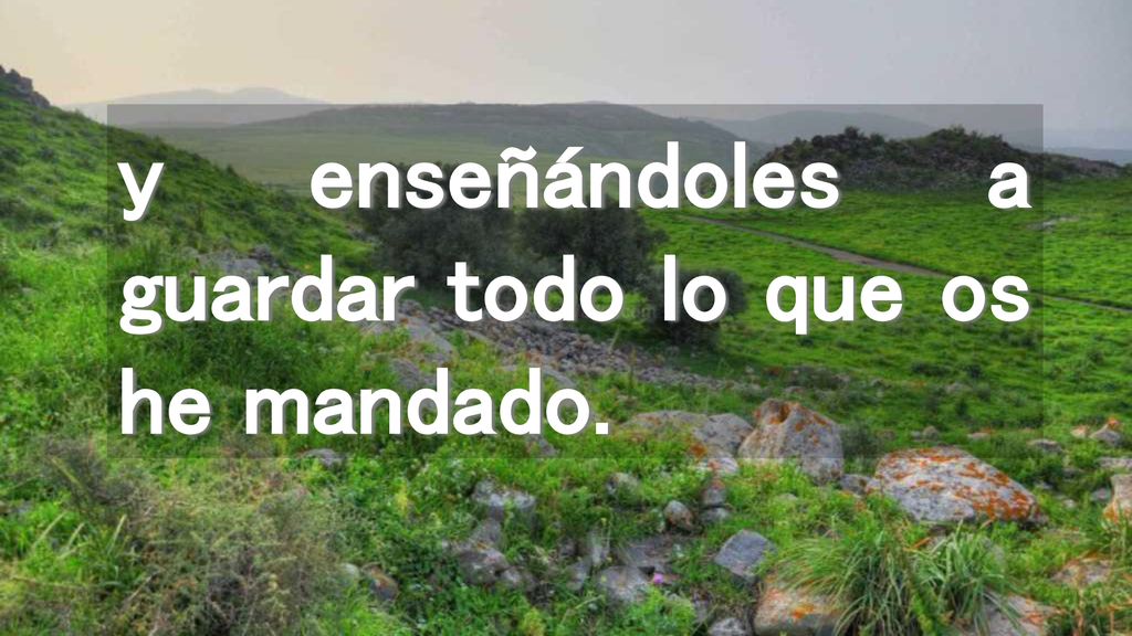 y enseñándoles a guardar todo lo que os he mandado.