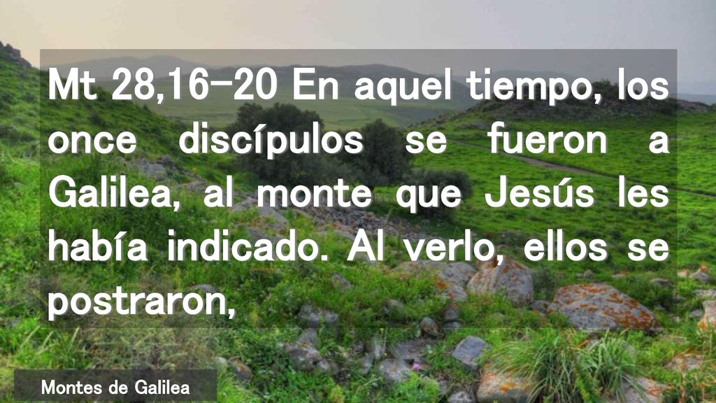 Mt 28,16-20 En aquel tiempo, los once discípulos se fueron a Galilea, al monte que Jesús les había indicado. Al verlo, ellos se postraron,