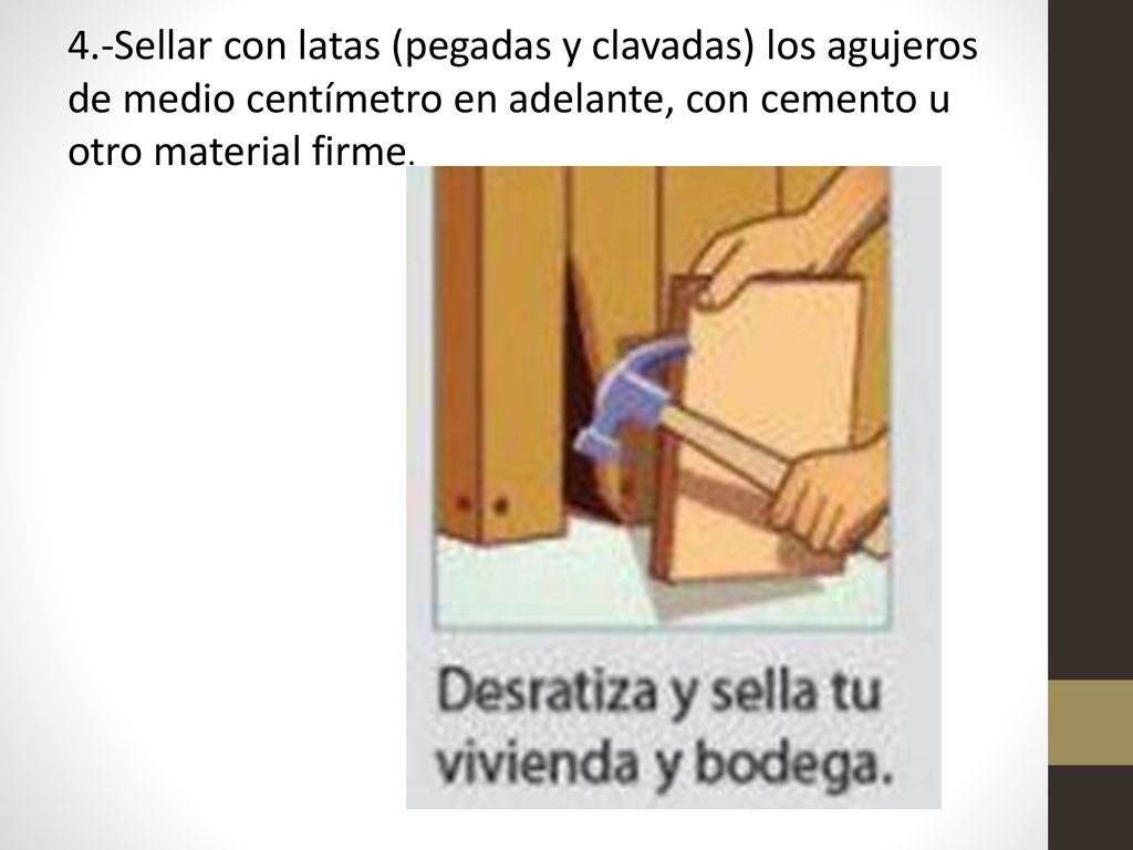 4.-Sellar con latas (pegadas y clavadas) los agujeros de medio centímetro en adelante, con cemento u otro material firme.