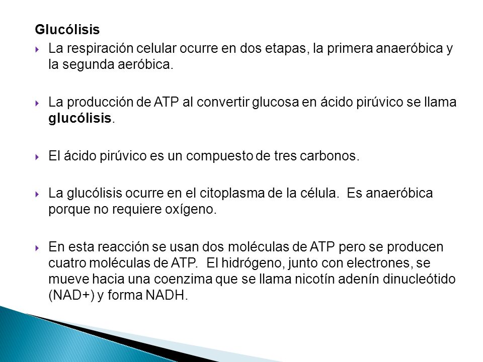 Glucólisis La respiración celular ocurre en dos etapas, la primera anaeróbica y la segunda aeróbica.
