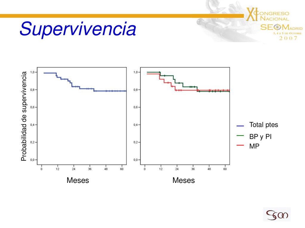 Supervivencia Meses Probabilidad de supervivencia Total ptes BP y PI