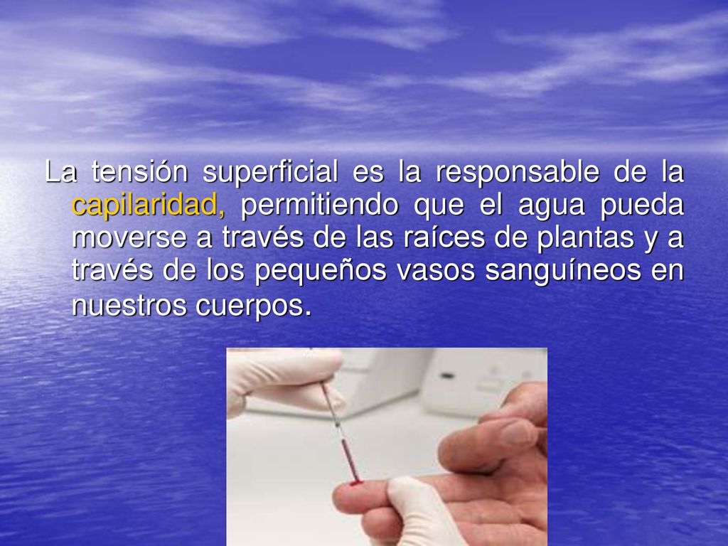 La tensión superficial es la responsable de la capilaridad, permitiendo que el agua pueda moverse a través de las raíces de plantas y a través de los pequeños vasos sanguíneos en nuestros cuerpos.
