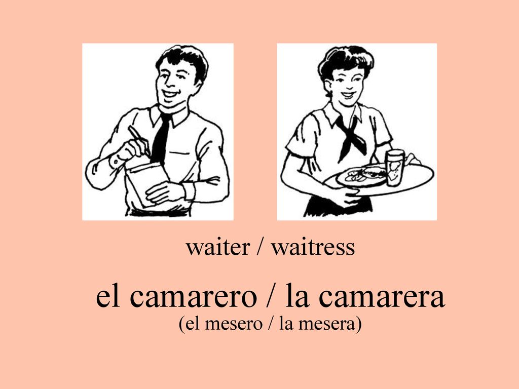 el camarero / la camarera (el mesero / la mesera)