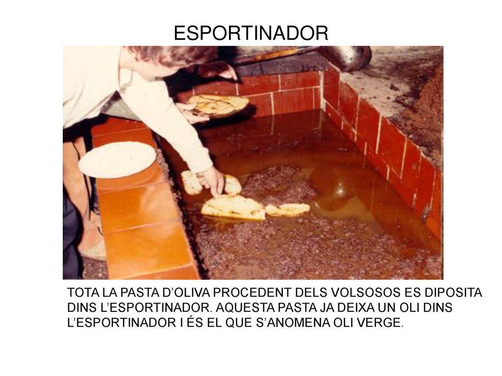 ESPORTINADOR TOTA LA PASTA D’OLIVA PROCEDENT DELS VOLSOSOS ES DIPOSITA