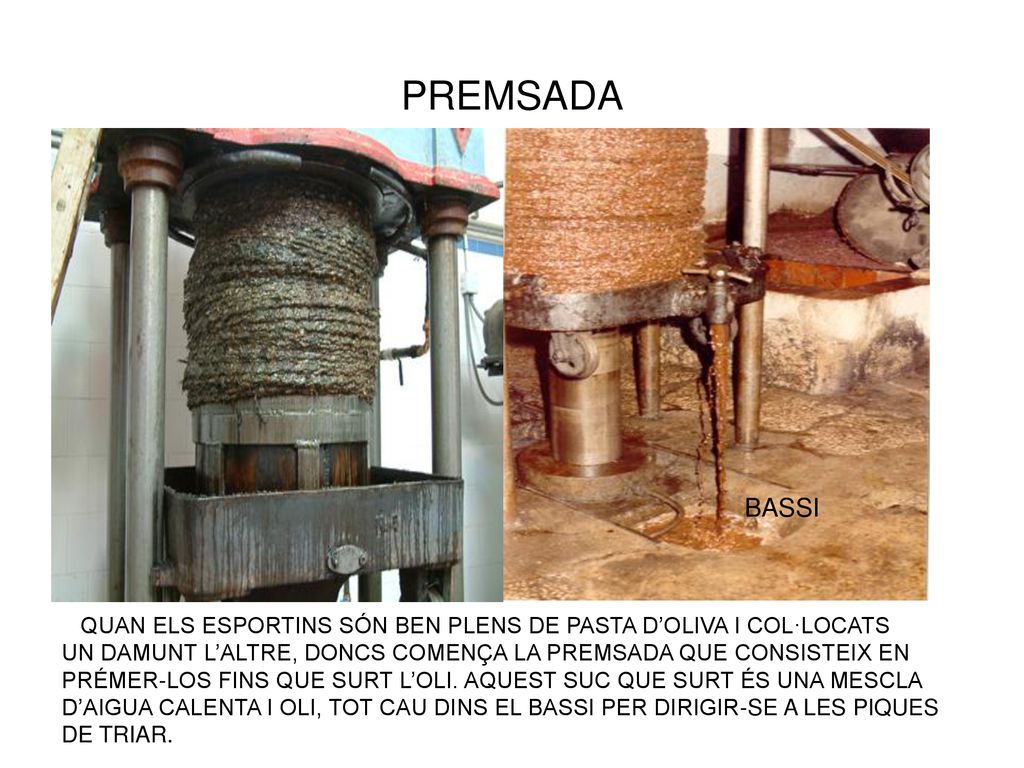 PREMSADA BASSI. QUAN ELS ESPORTINS SÓN BEN PLENS DE PASTA D’OLIVA I COL·LOCATS. UN DAMUNT L’ALTRE, DONCS COMENÇA LA PREMSADA QUE CONSISTEIX EN.