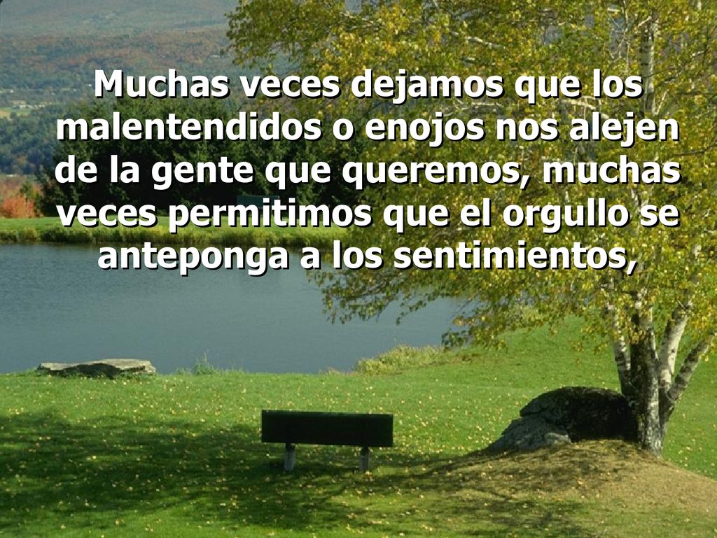 Muchas veces dejamos que los malentendidos o enojos nos alejen de la gente que queremos, muchas veces permitimos que el orgullo se anteponga a los sentimientos,