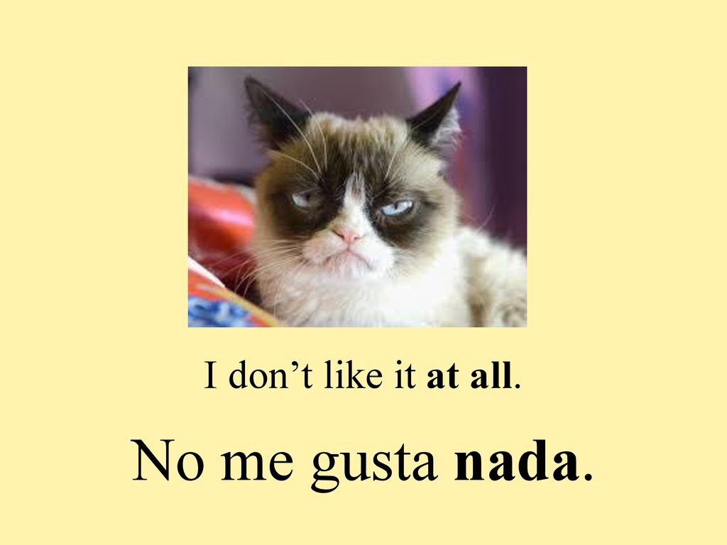 I don’t like it at all. No me gusta nada.
