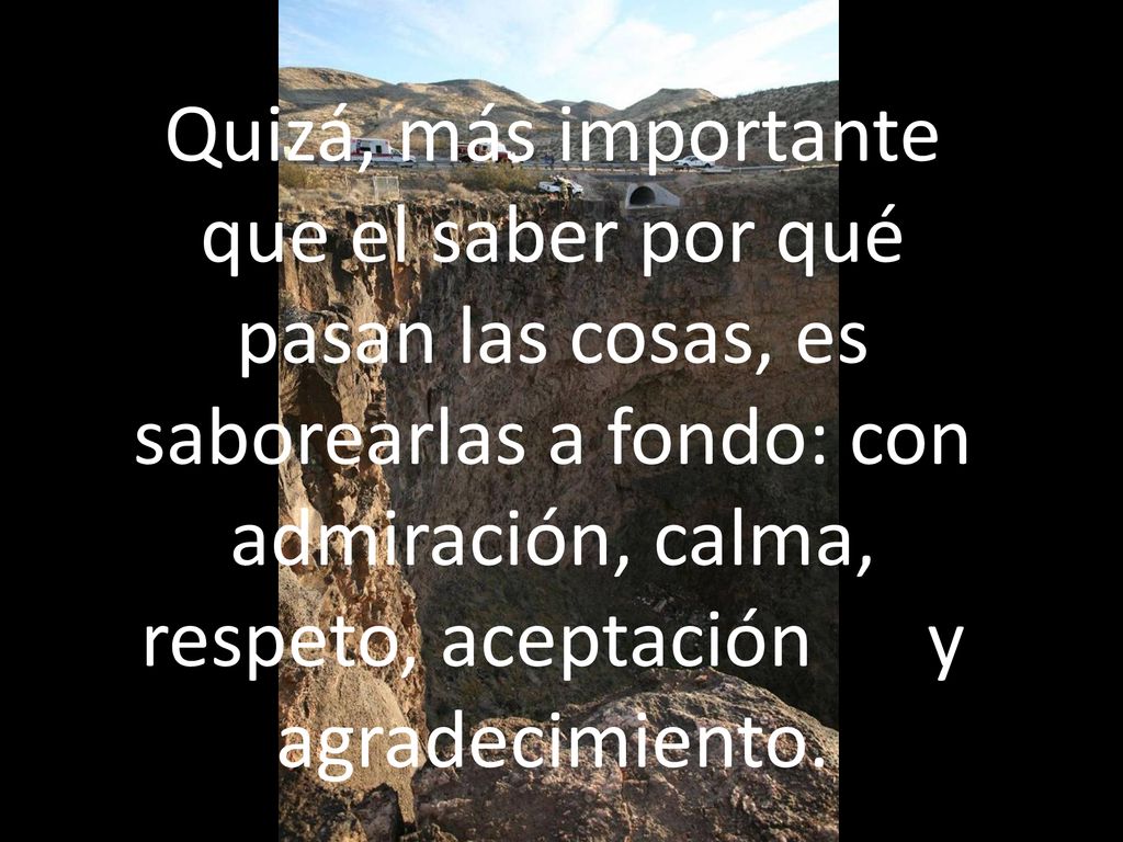 Quizá, más importante que el saber por qué pasan las cosas, es saborearlas a fondo: con admiración, calma, respeto, aceptación y agradecimiento.