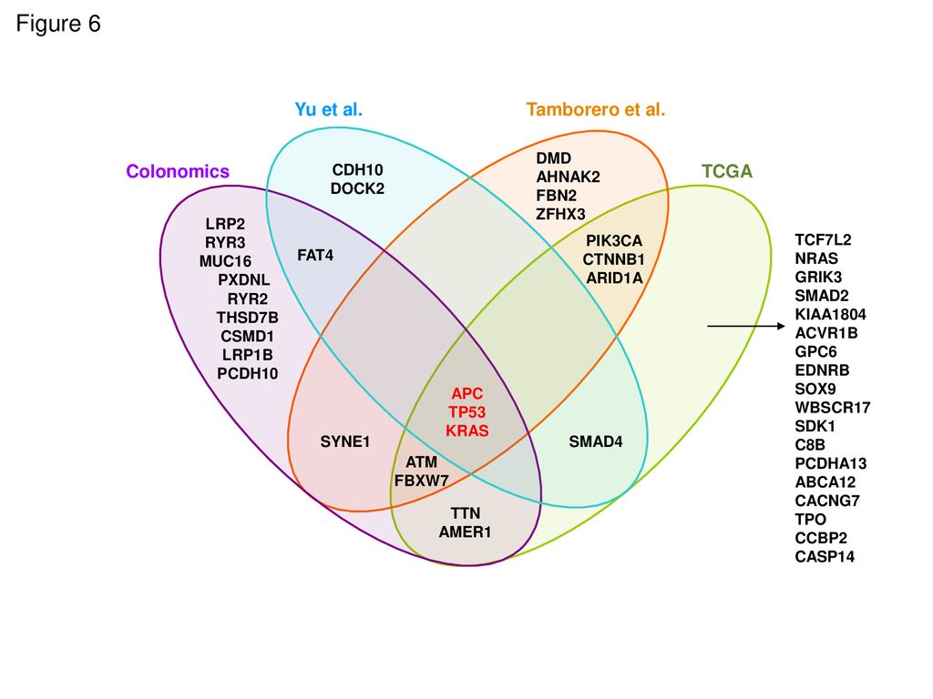 Figure 6 TCGA Tamborero et al. Yu et al. Colonomics APC TP53 KRAS FAT4