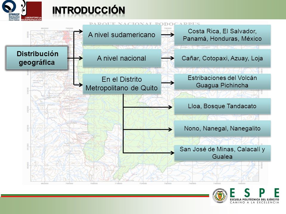 Distribución geográfica