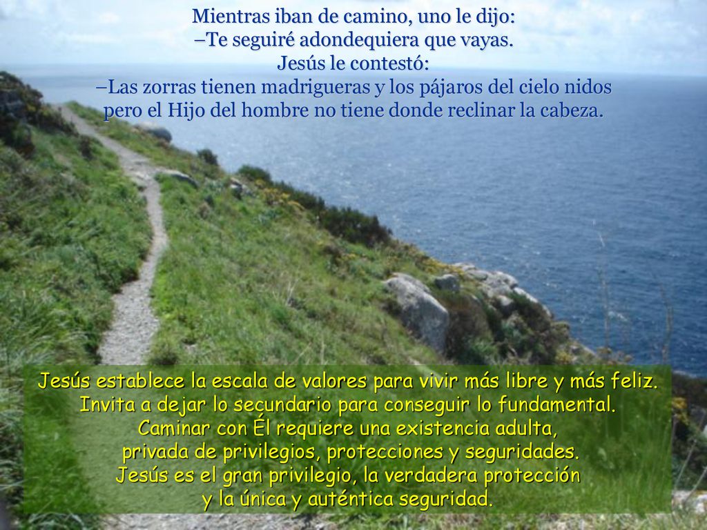 Mientras iban de camino, uno le dijo: –Te seguiré adondequiera que vayas. Jesús le contestó: –Las zorras tienen madrigueras y los pájaros del cielo nidos pero el Hijo del hombre no tiene donde reclinar la cabeza.