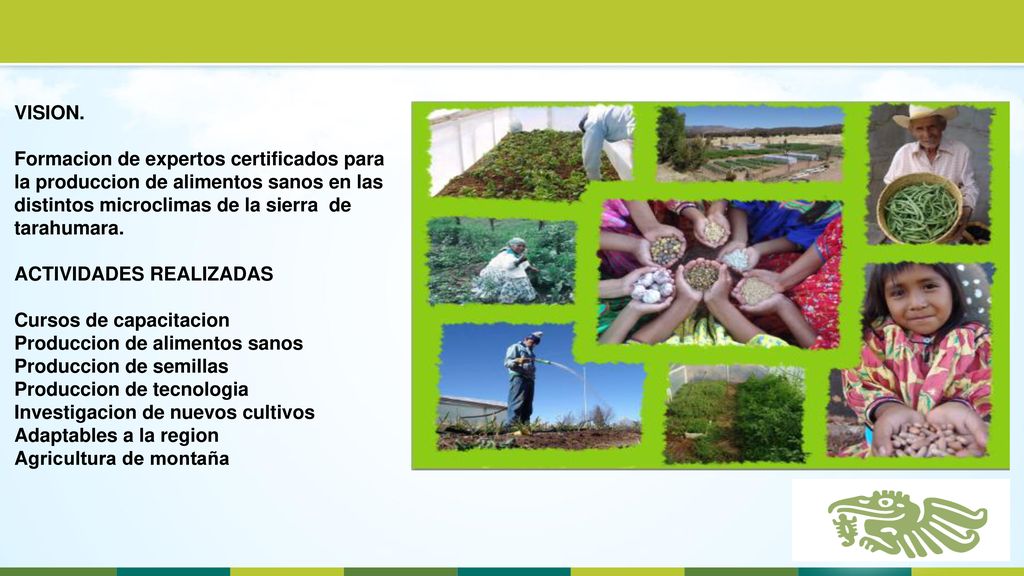 VISION. Formacion de expertos certificados para la produccion de alimentos sanos en las distintos microclimas de la sierra de tarahumara.