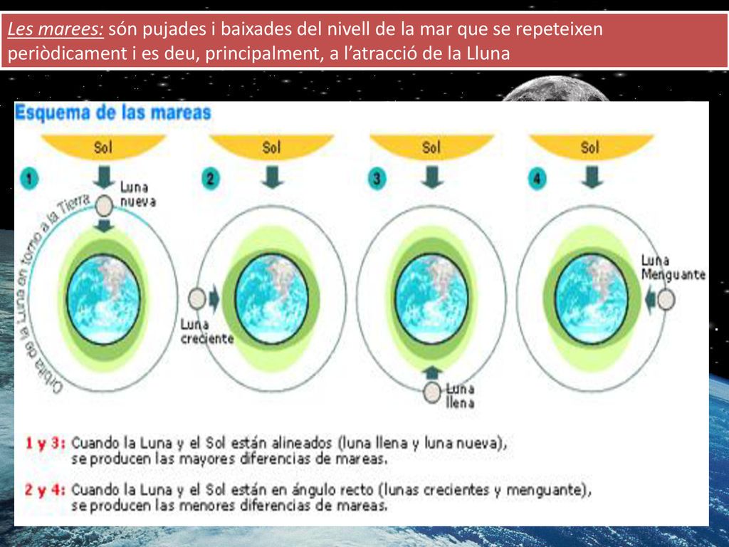 Les marees: són pujades i baixades del nivell de la mar que se repeteixen periòdicament i es deu, principalment, a l’atracció de la Lluna