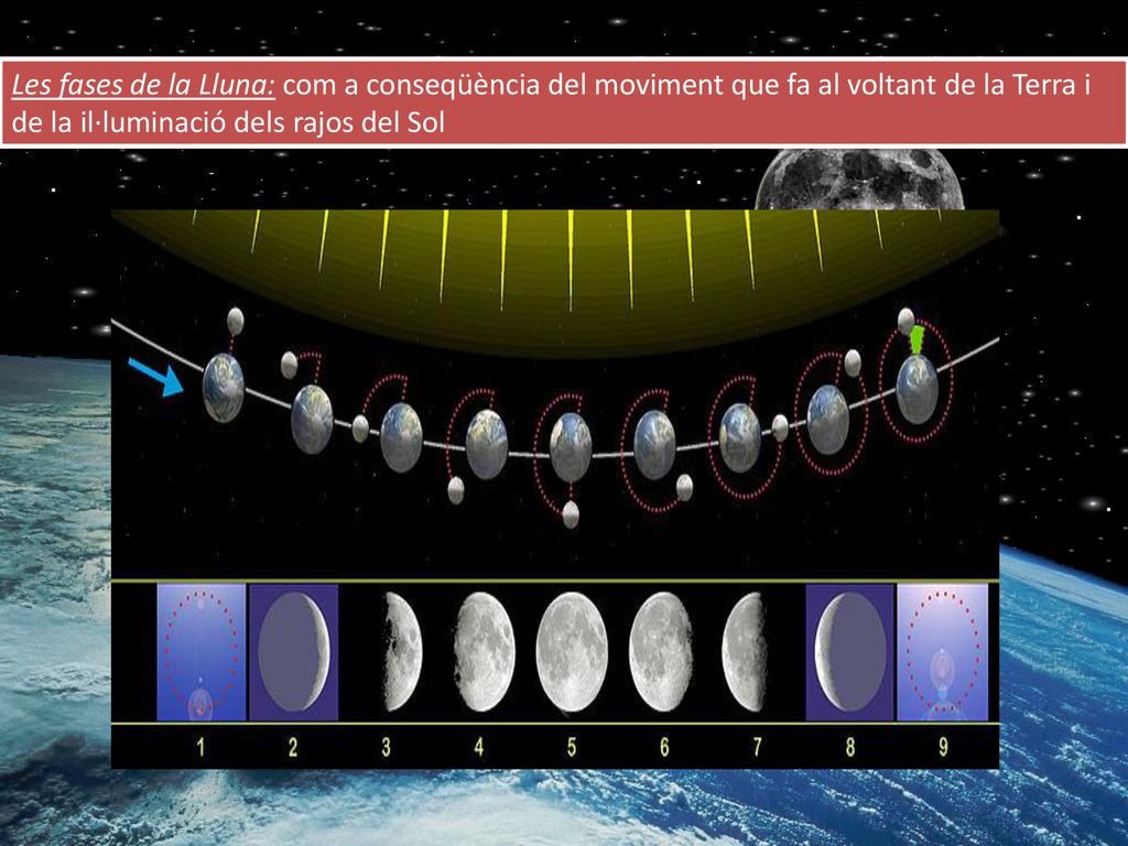Les fases de la Lluna: com a conseqüència del moviment que fa al voltant de la Terra i de la il·luminació dels rajos del Sol