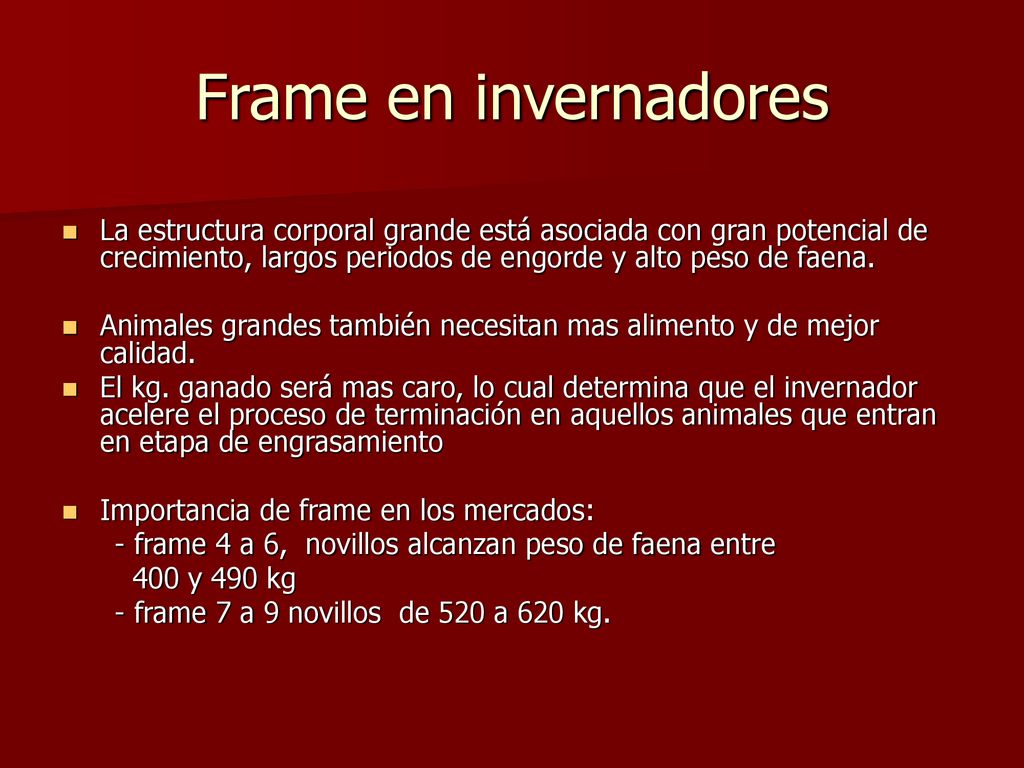 Frame en invernadores La estructura corporal grande está asociada con gran potencial de crecimiento, largos periodos de engorde y alto peso de faena.