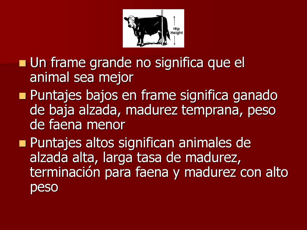 Un frame grande no significa que el animal sea mejor
