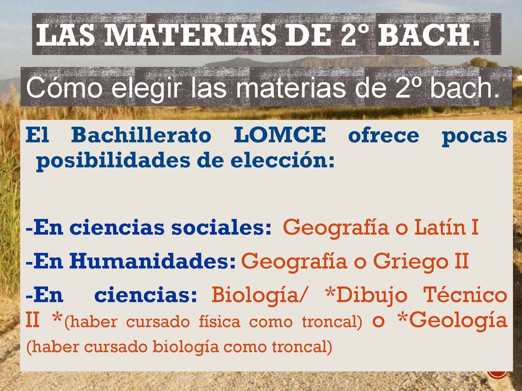 LAS MATERIAS DE 2º BACH. Cómo elegir las materias de 2º bach.