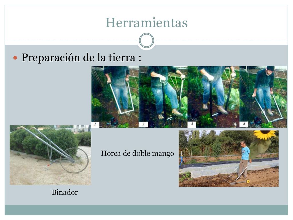 Herramientas Preparación de la tierra : Horca de doble mango Binador