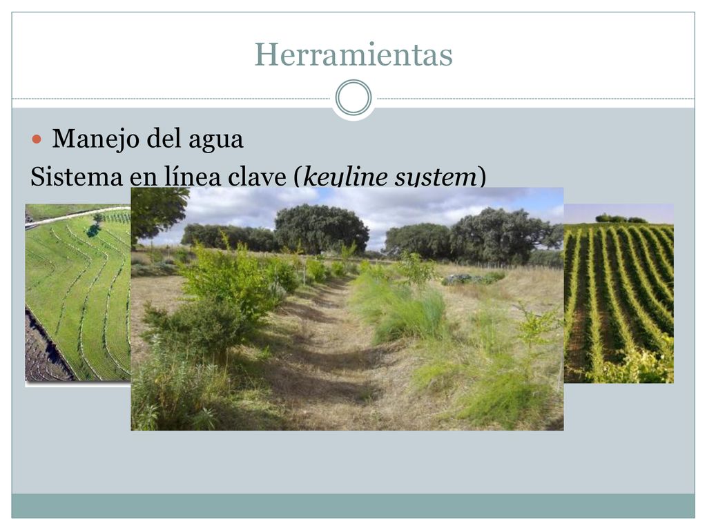 Herramientas Manejo del agua Sistema en línea clave (keyline system)