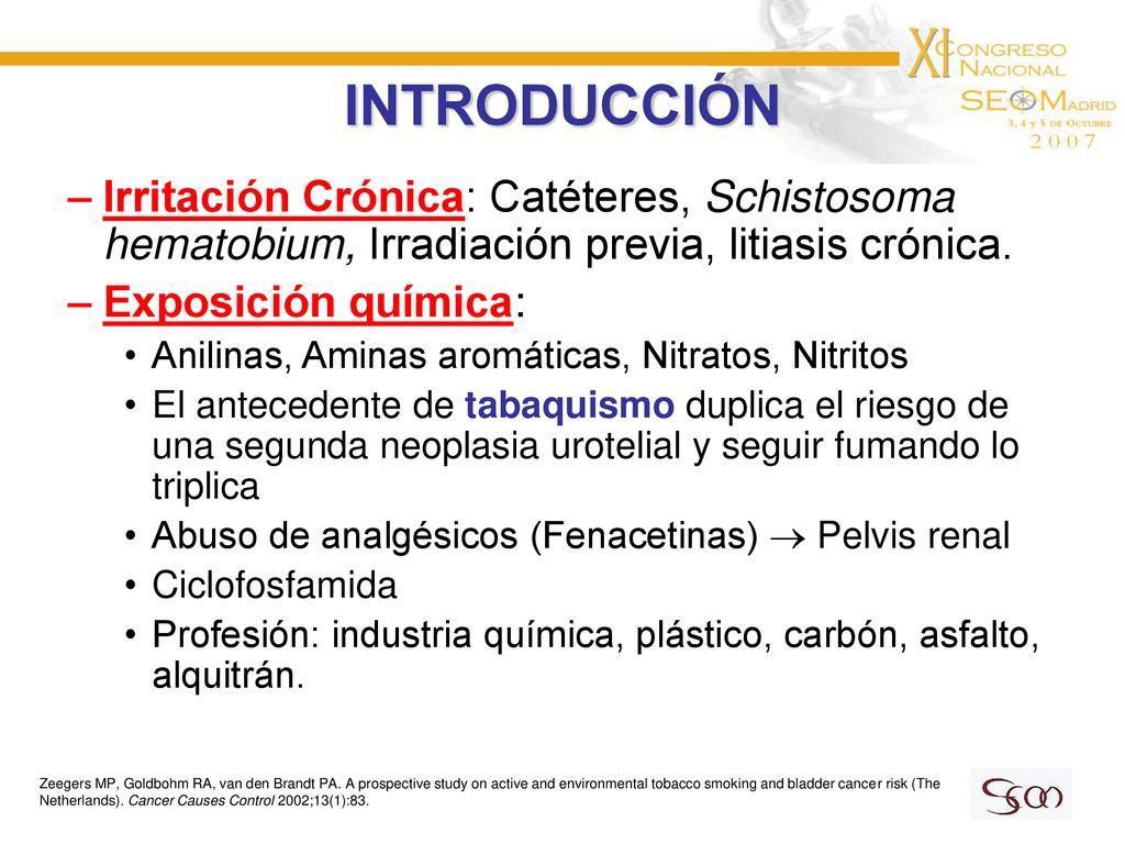 INTRODUCCIÓN Irritación Crónica: Catéteres, Schistosoma hematobium, Irradiación previa, litiasis crónica.