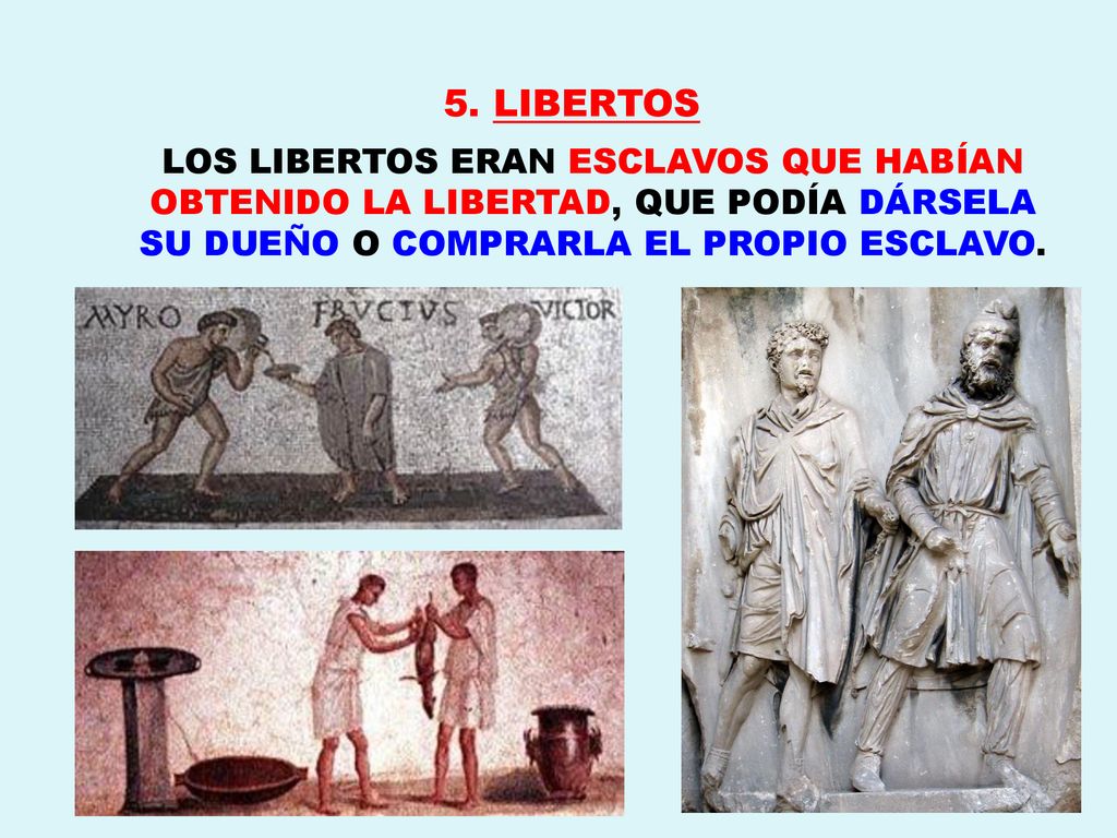 5. LIBERTOS LOS LIBERTOS ERAN ESCLAVOS QUE HABÍAN OBTENIDO LA LIBERTAD, QUE PODÍA DÁRSELA SU DUEÑO O COMPRARLA EL PROPIO ESCLAVO.