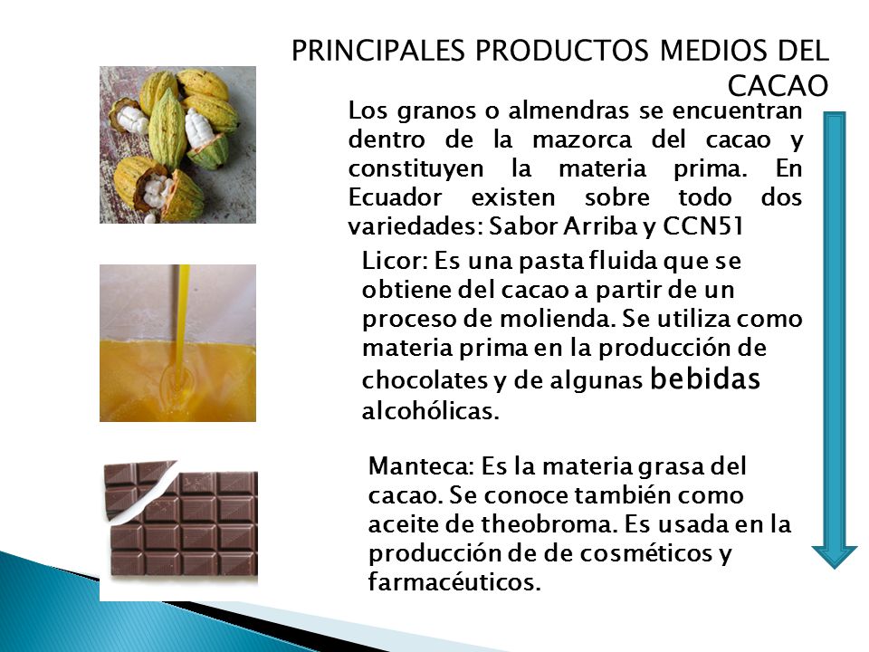 PRINCIPALES PRODUCTOS MEDIOS DEL CACAO