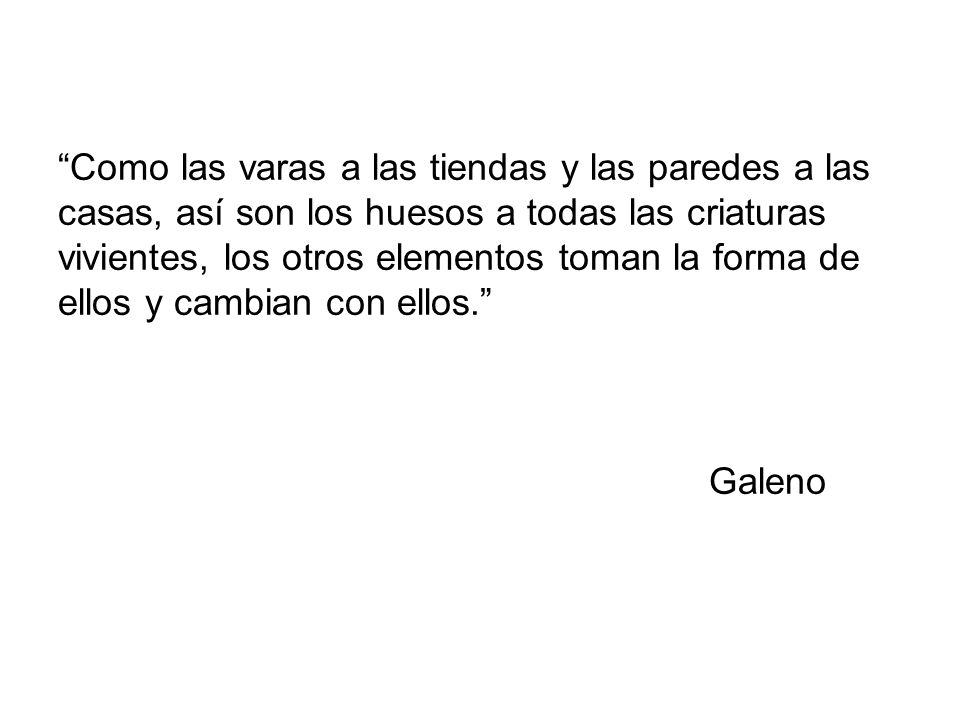 Como las varas a las tiendas y las paredes a las casas, así son los huesos a todas las criaturas vivientes, los otros elementos toman la forma de ellos y cambian con ellos. Galeno