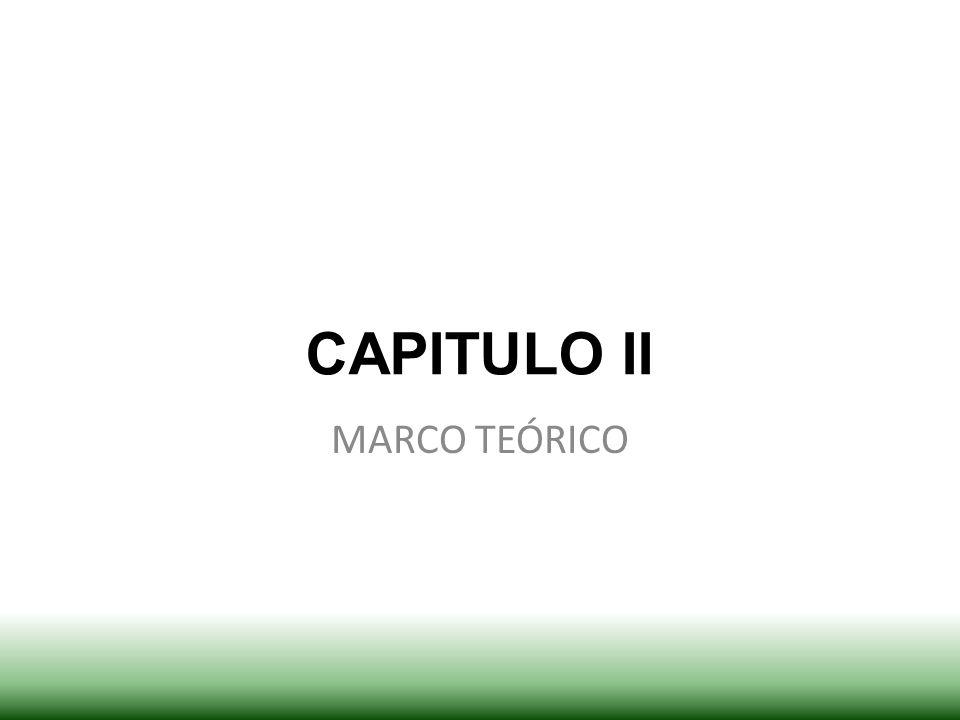 CAPITULO II MARCO TEÓRICO