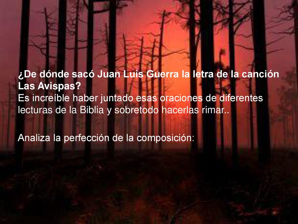¿De dónde sacó Juan Luis Guerra la letra de la canción Las Avispas