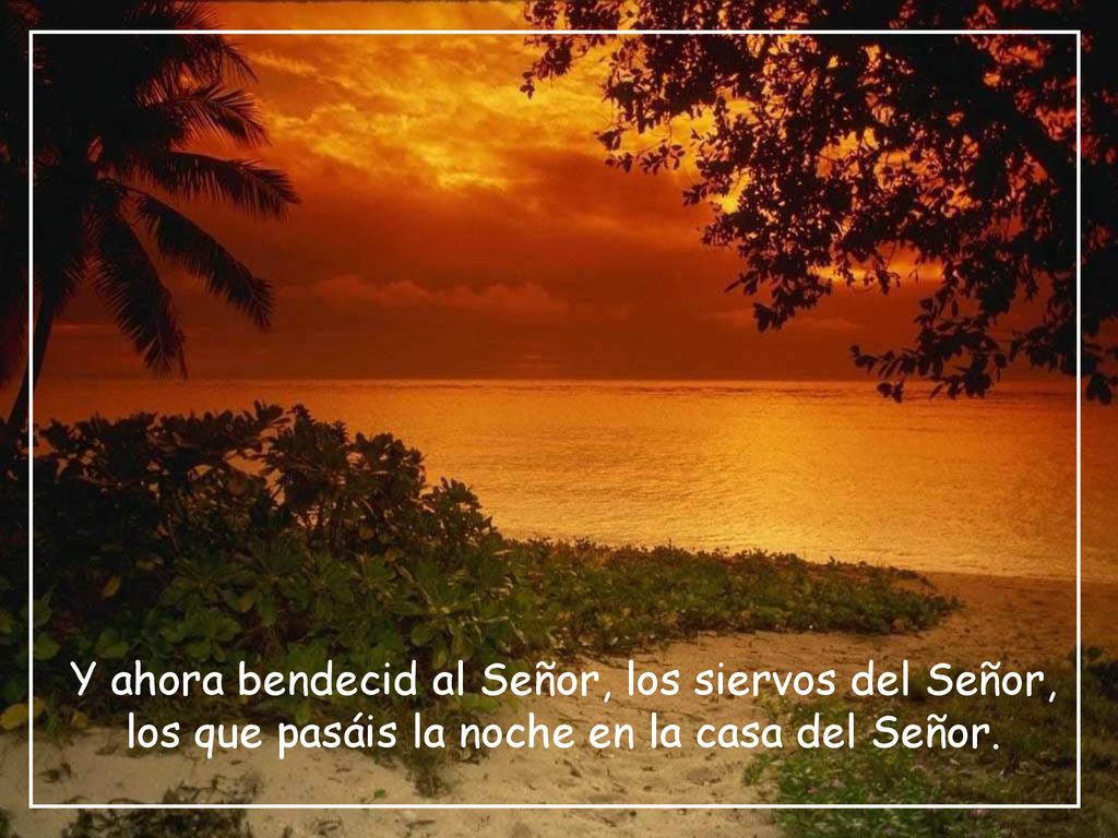 Y ahora bendecid al Señor, los siervos del Señor, los que pasáis la noche en la casa del Señor.