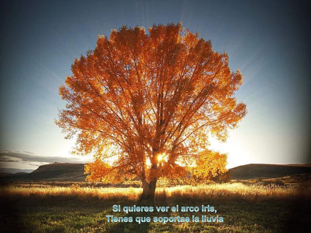 Si quieres ver el arco iris, Tienes que soportae la lluvia