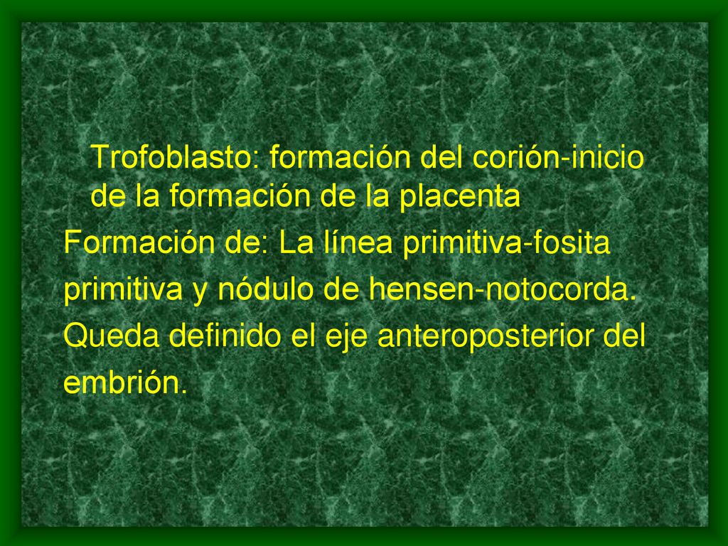Trofoblasto: formación del corión-inicio de la formación de la placenta