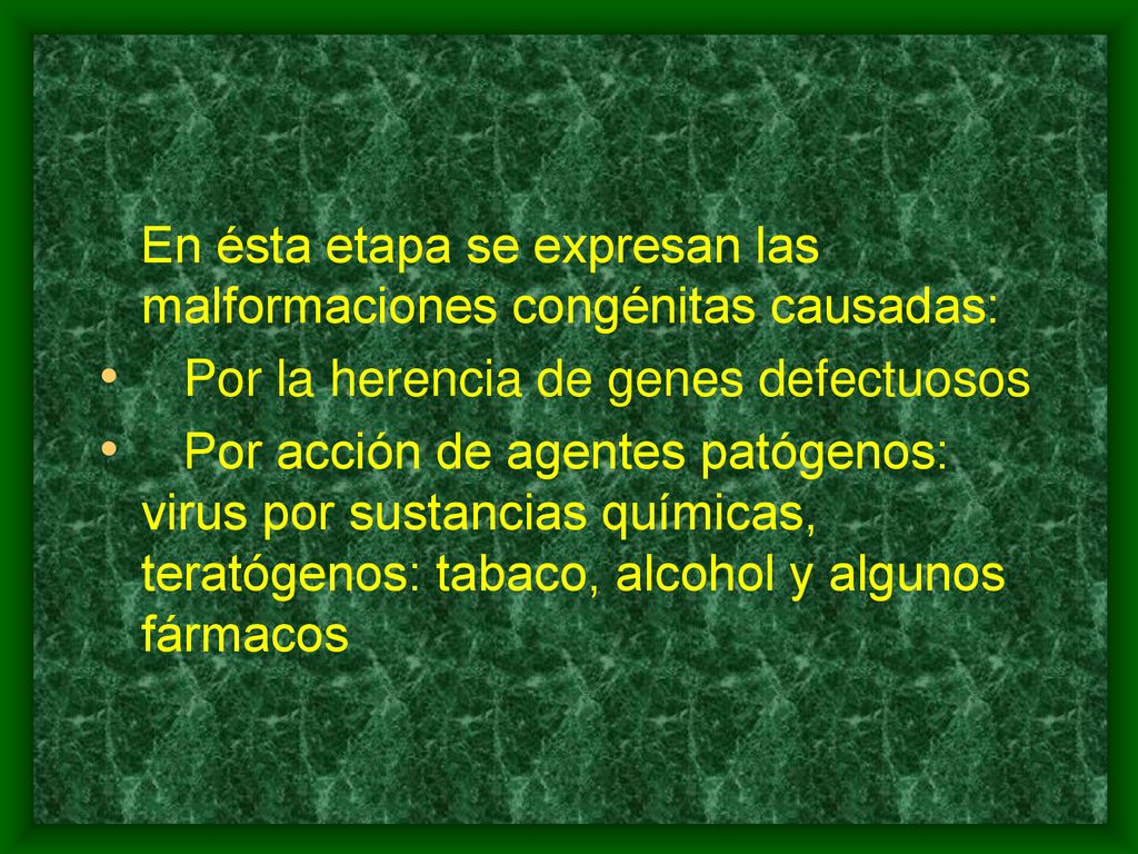En ésta etapa se expresan las malformaciones congénitas causadas: