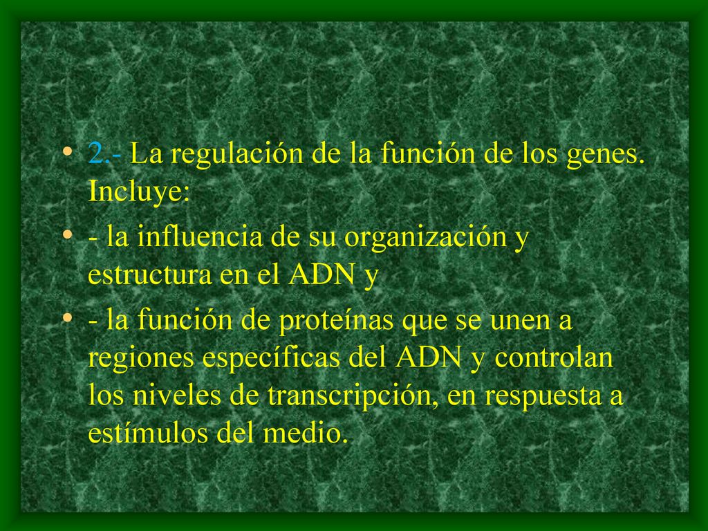2.- La regulación de la función de los genes. Incluye: