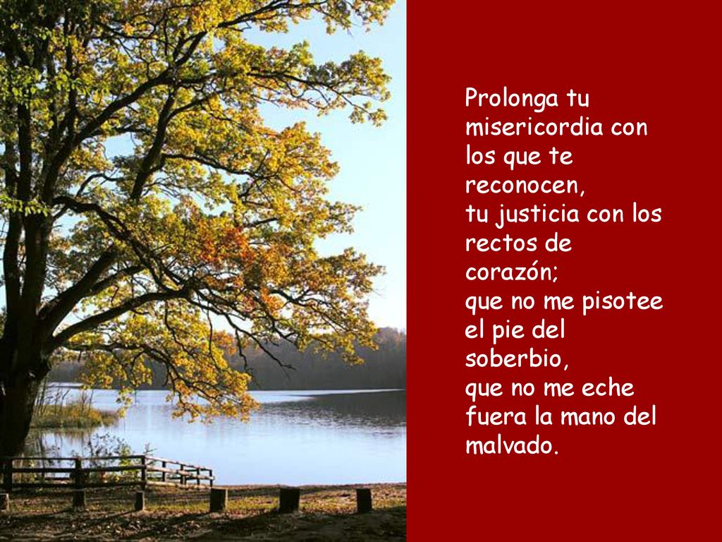 Prolonga tu misericordia con los que te reconocen, tu justicia con los rectos de corazón; que no me pisotee el pie del soberbio, que no me eche fuera la mano del malvado.