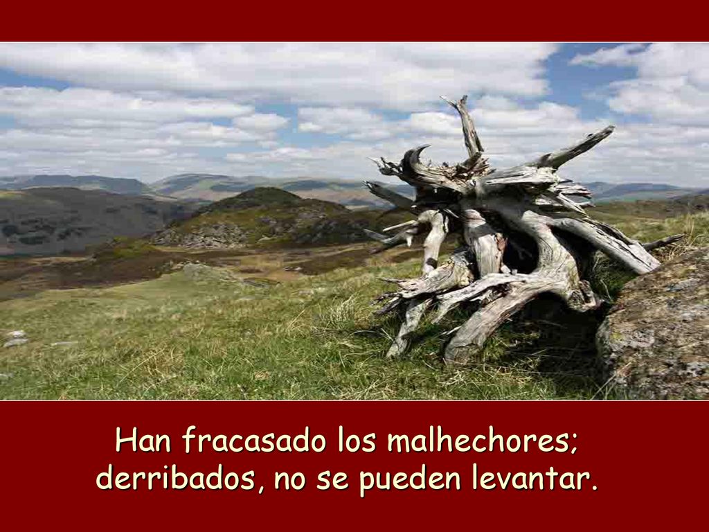 Han fracasado los malhechores; derribados, no se pueden levantar.