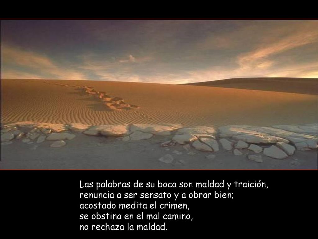 Las palabras de su boca son maldad y traición, renuncia a ser sensato y a obrar bien; acostado medita el crimen, se obstina en el mal camino, no rechaza la maldad.