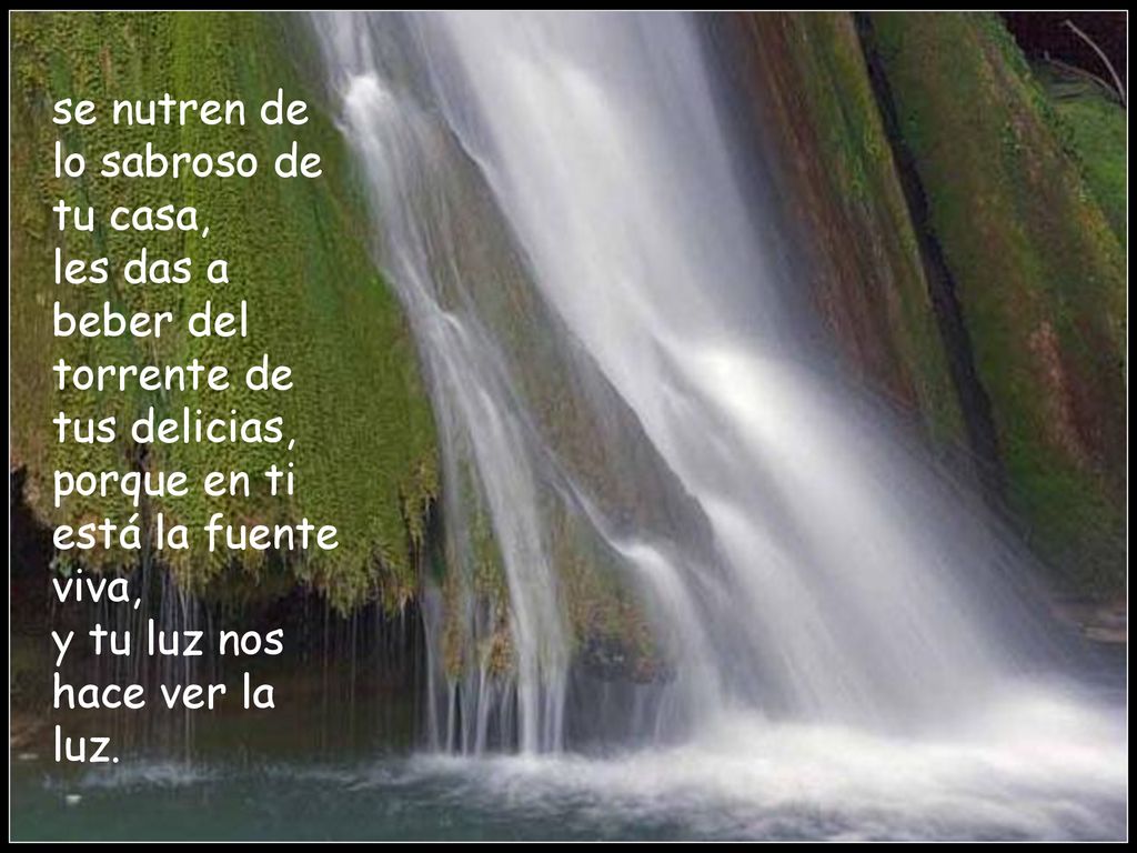 se nutren de lo sabroso de tu casa, les das a beber del torrente de tus delicias, porque en ti está la fuente viva, y tu luz nos hace ver la luz.