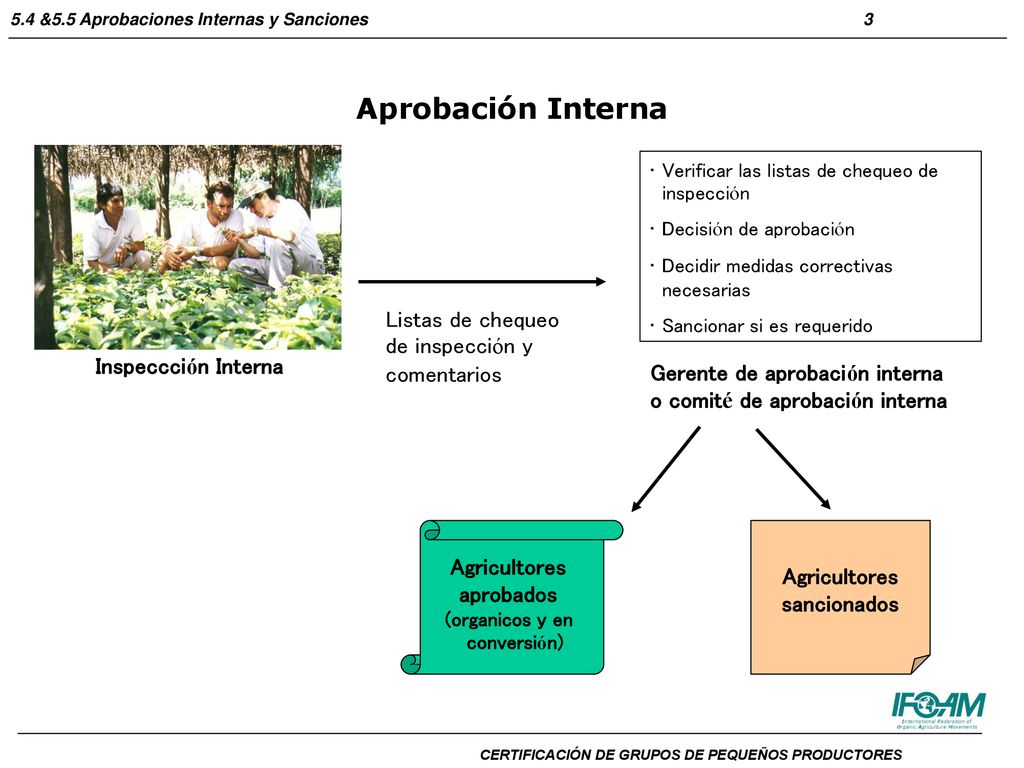 Aprobación Interna Listas de chequeo de inspección y comentarios
