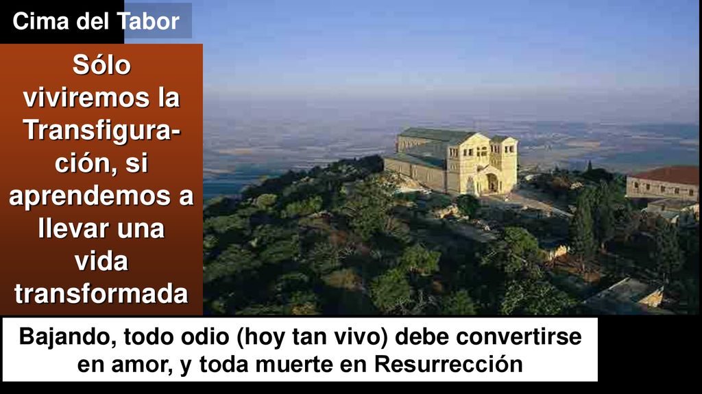 Cima del Tabor Sólo viviremos la Transfigura-ción, si aprendemos a llevar una vida transformada.