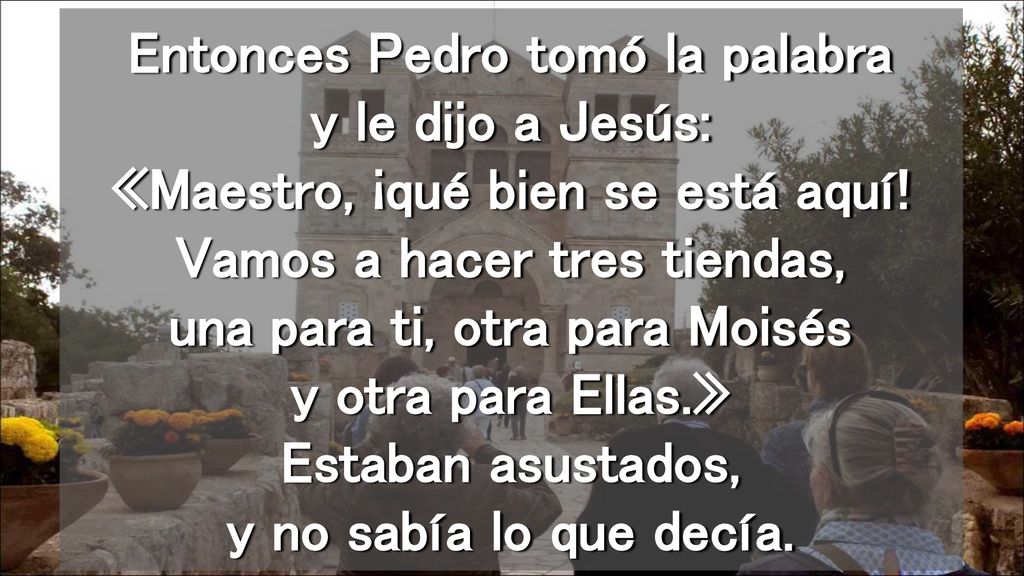 Entonces Pedro tomó la palabra y le dijo a Jesús: «Maestro, ¡qué bien se está aquí.