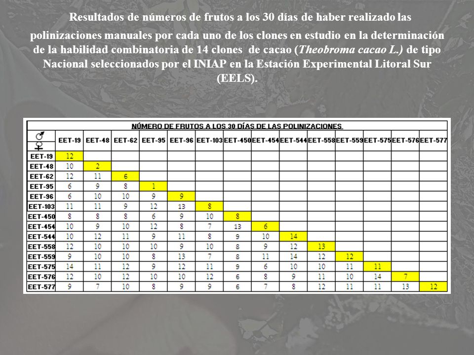 Resultados de números de frutos a los 30 días de haber realizado las polinizaciones manuales por cada uno de los clones en estudio en la determinación de la habilidad combinatoria de 14 clones de cacao (Theobroma cacao L.) de tipo Nacional seleccionados por el INIAP en la Estación Experimental Litoral Sur (EELS).