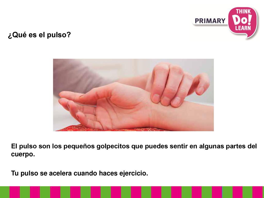¿Qué es el pulso 2 photos bottom of page 8. El pulso son los pequeños golpecitos que puedes sentir en algunas partes del cuerpo.