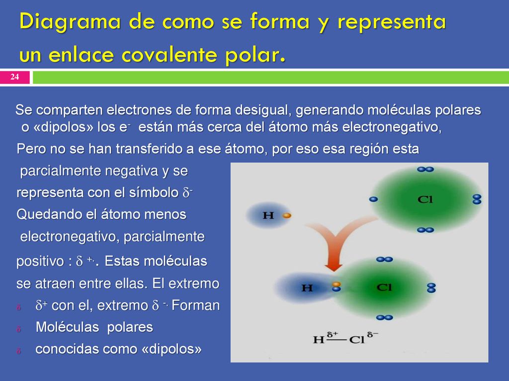 Diagrama de como se forma y representa un enlace covalente polar.