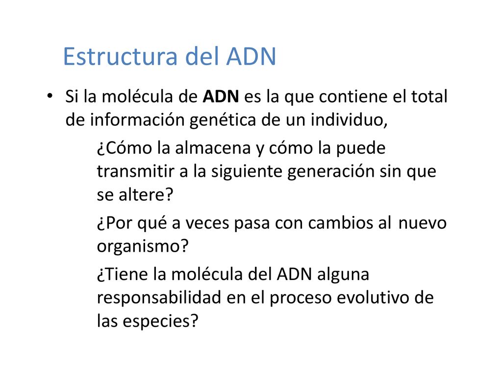 Estructura del ADN Si la molécula de ADN es la que contiene el total de información genética de un individuo,