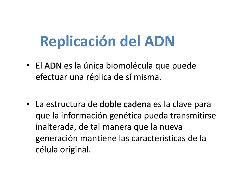 Replicación del ADN El ADN es la única biomolécula que puede efectuar una réplica de sí misma.