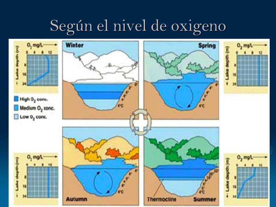 Según el nivel de oxigeno