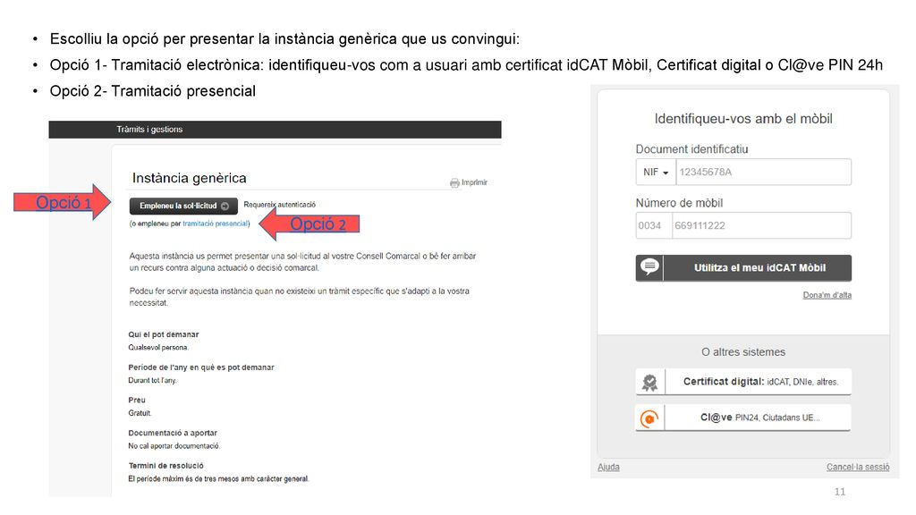 Escolliu la opció per presentar la instància genèrica que us convingui: