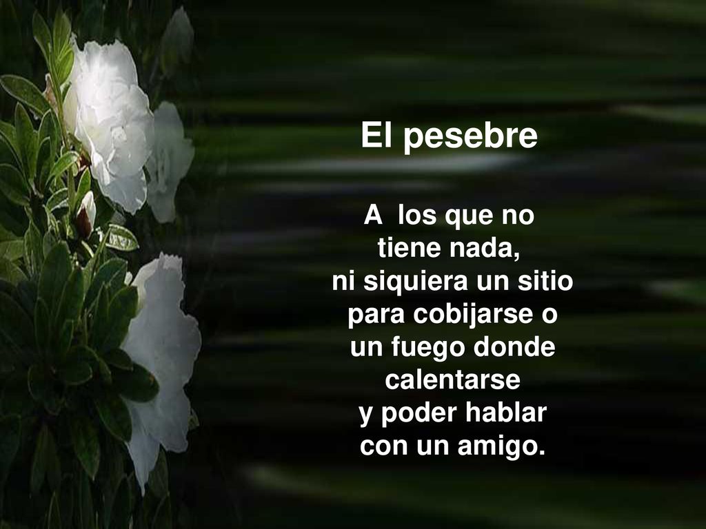 El pesebre A los que no tiene nada, ni siquiera un sitio